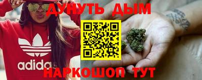 PSILOCYBIN Ирбит
